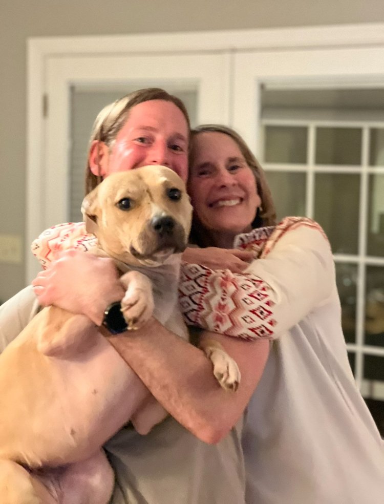 Placeholder — photo of Ace, a large mixed-breed dog, relaxed and off-duty in a home environment.