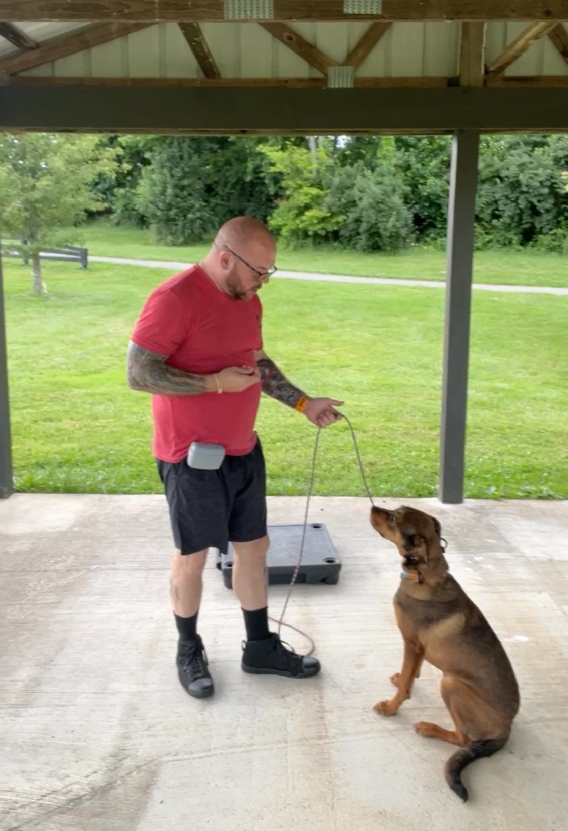 Chris, lead trainer at Commonwealth Dog Works, working a calm, attentive dog at an outdoor training pavilion in Kentucky.